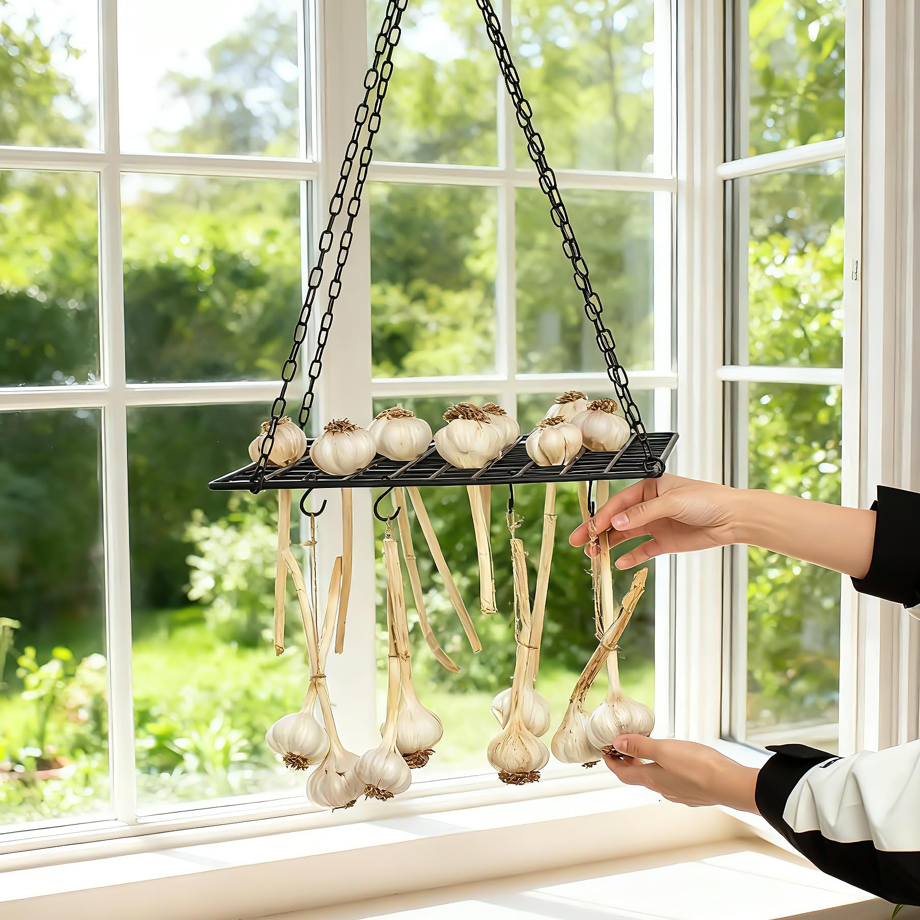 Yohsnor drying assorted herbs and onions showing versatile multi-food use