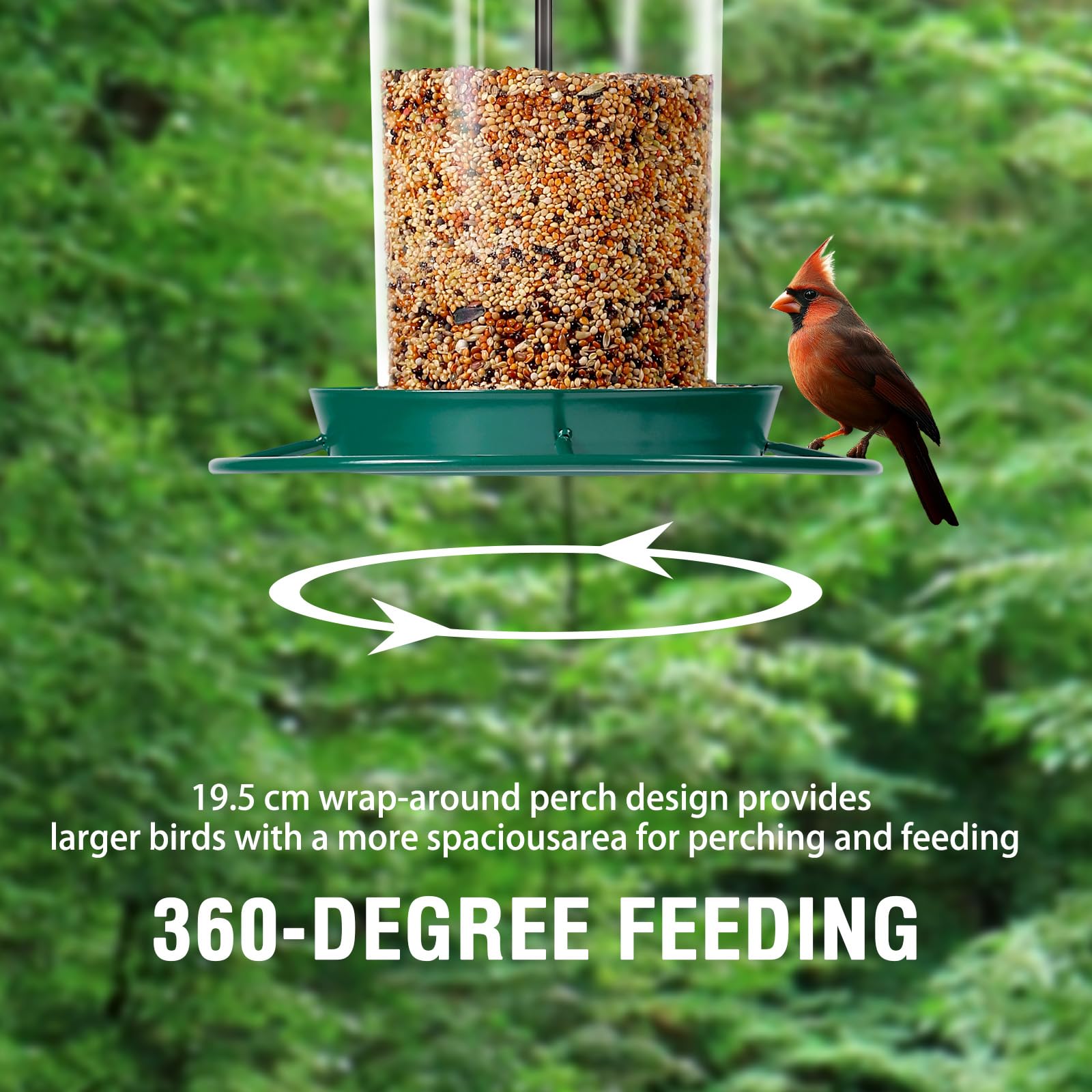 Youvip feeder filled to show 3.0LB capacity for fewer refills