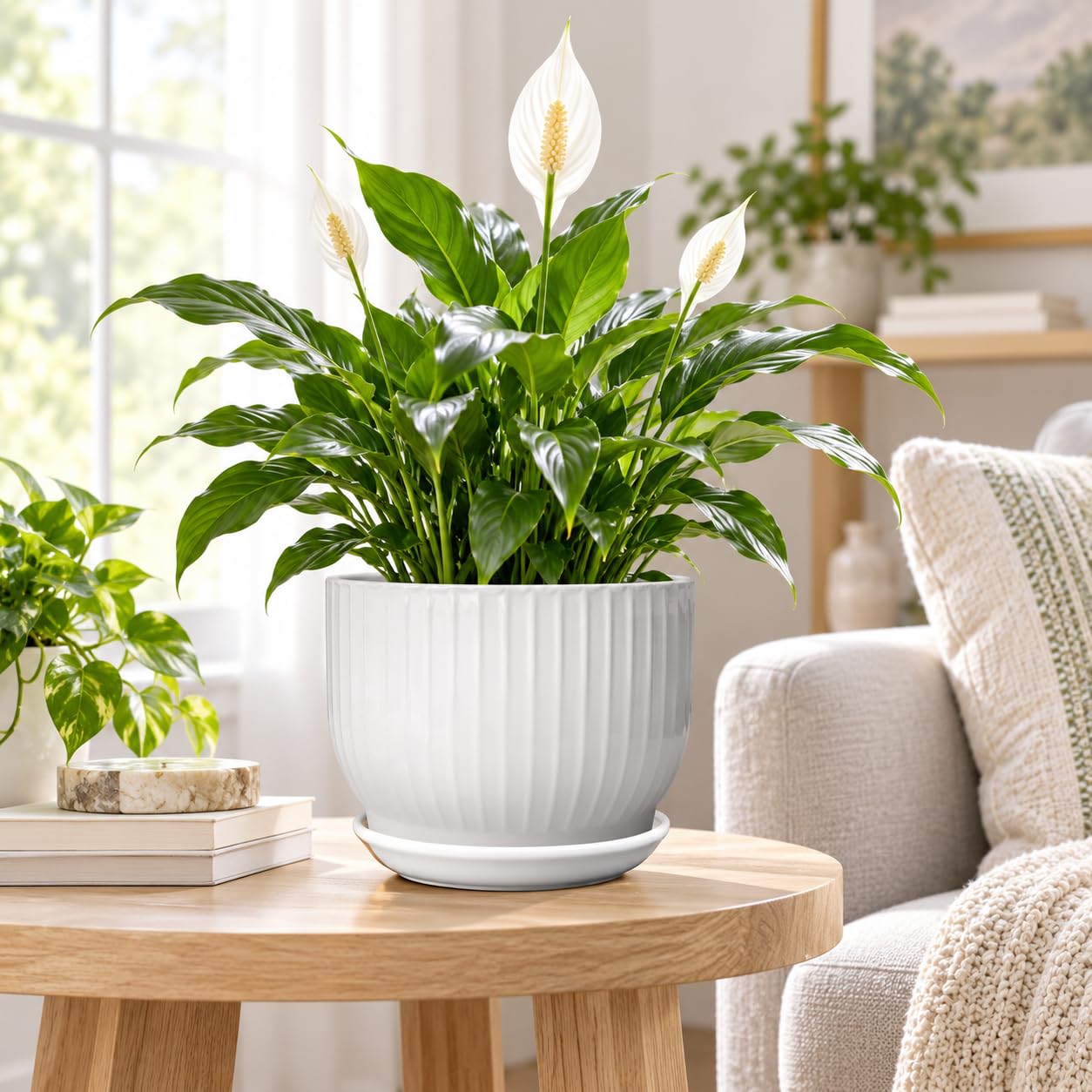 YUFDA pot planted with aloe illustrating suitable plant pairing