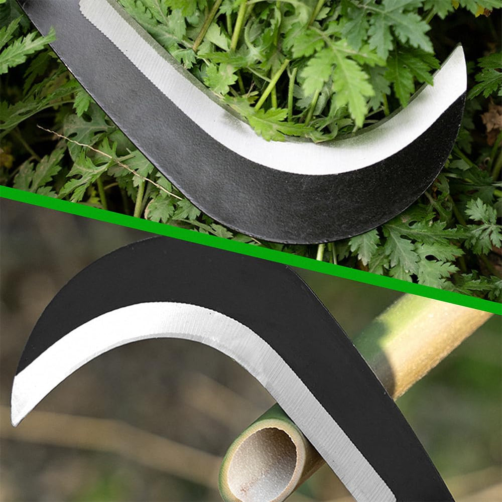 Z & G closeup of carbon steel blade revealing sharp edge for efficient cuts