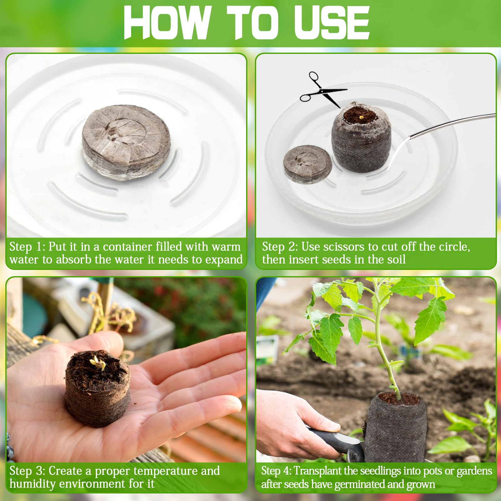 ZeeDix pellet with healthy seedling and visible roots for low-disturbance transplant