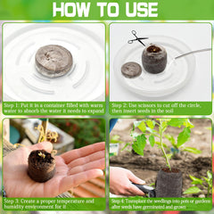 ZeeDix pellet with healthy seedling and visible roots for low-disturbance transplant