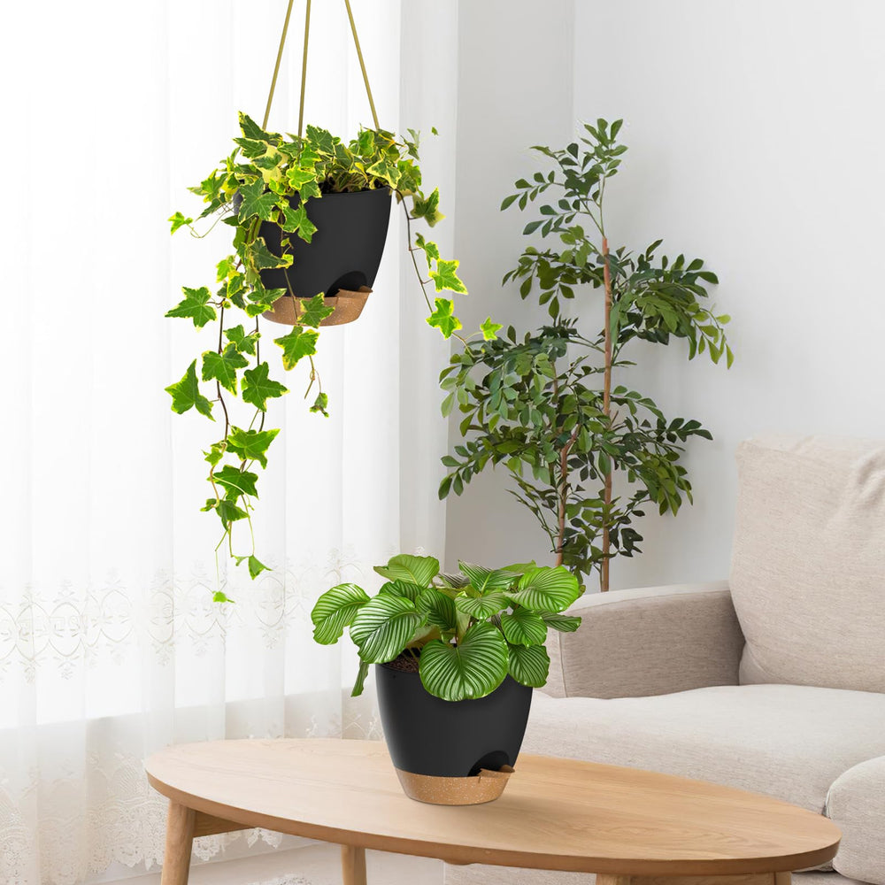 ZMTECH hanging planters styled on a balcony adding vertical greenery and charm