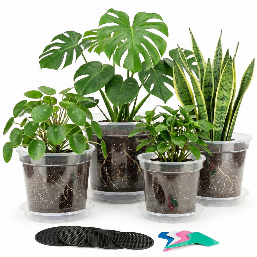 Zonara front view of clear nursery pots showing included sizes and organization benefit