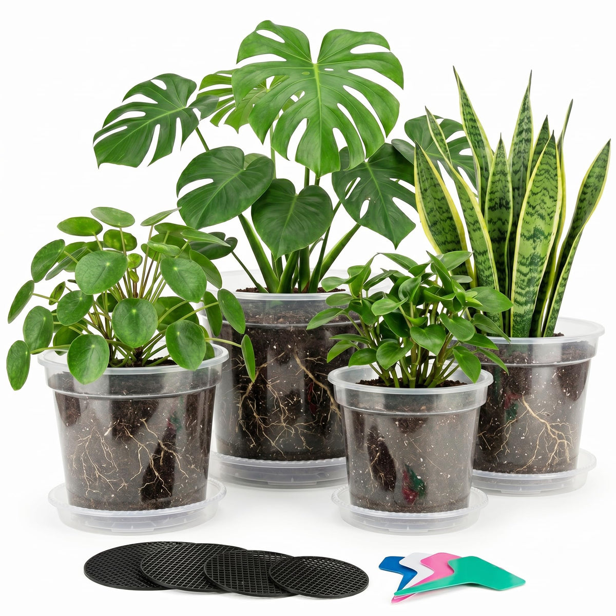 Zonara front view of clear nursery pots showing included sizes and organization benefit