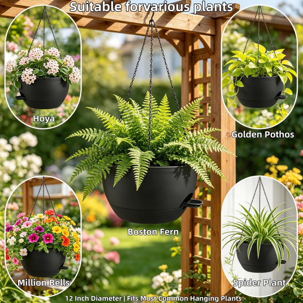 zople kitchen window herb display saving counter space and time