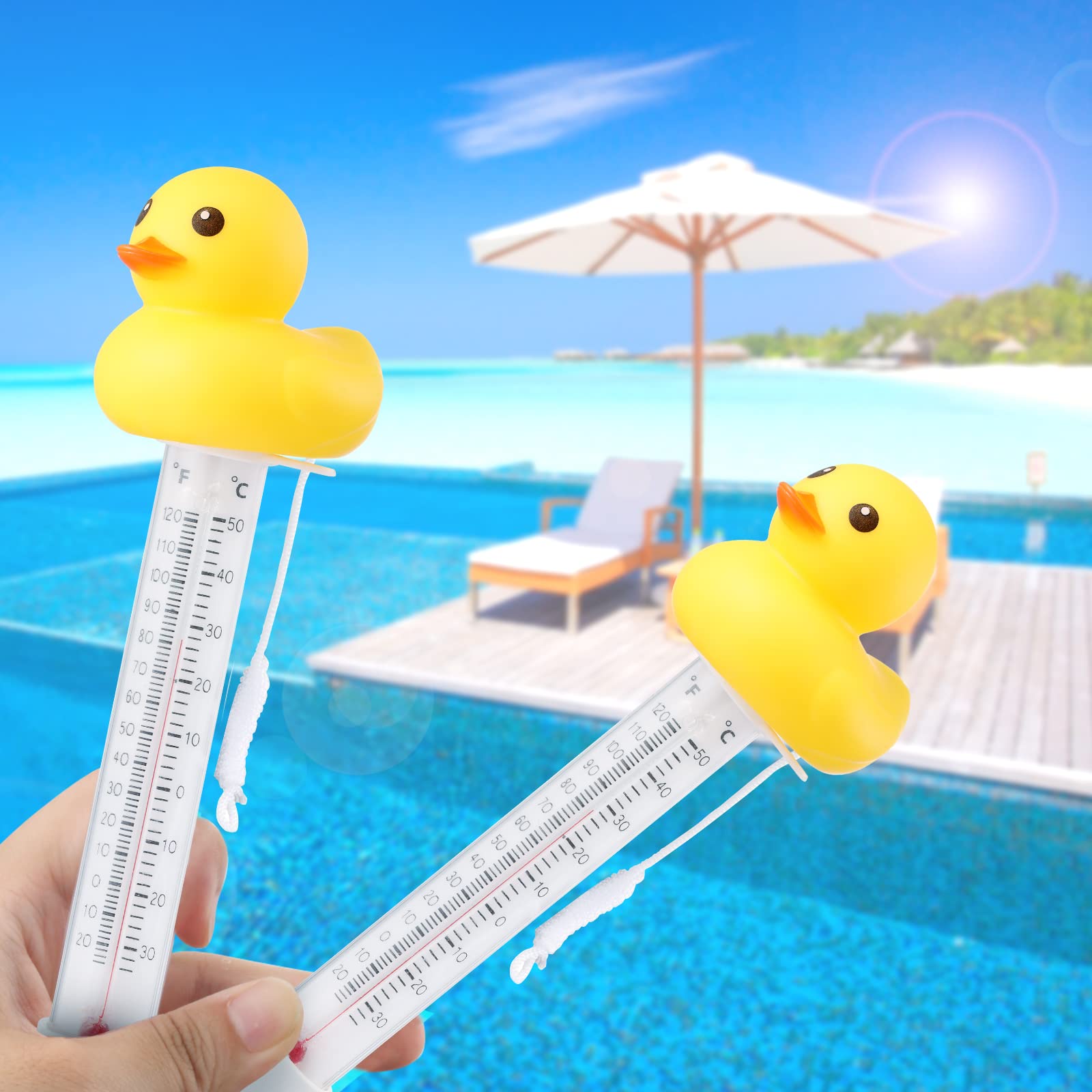 Zxmissu duck thermometer floating in backyard pool to help monitor swim comfort